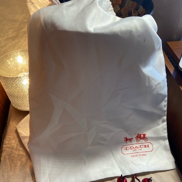 Coach purse with dust bag - Picture 8 of 8
